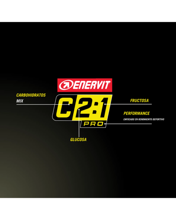 CARBOGEL 2:1 ENERVIT + SODIO